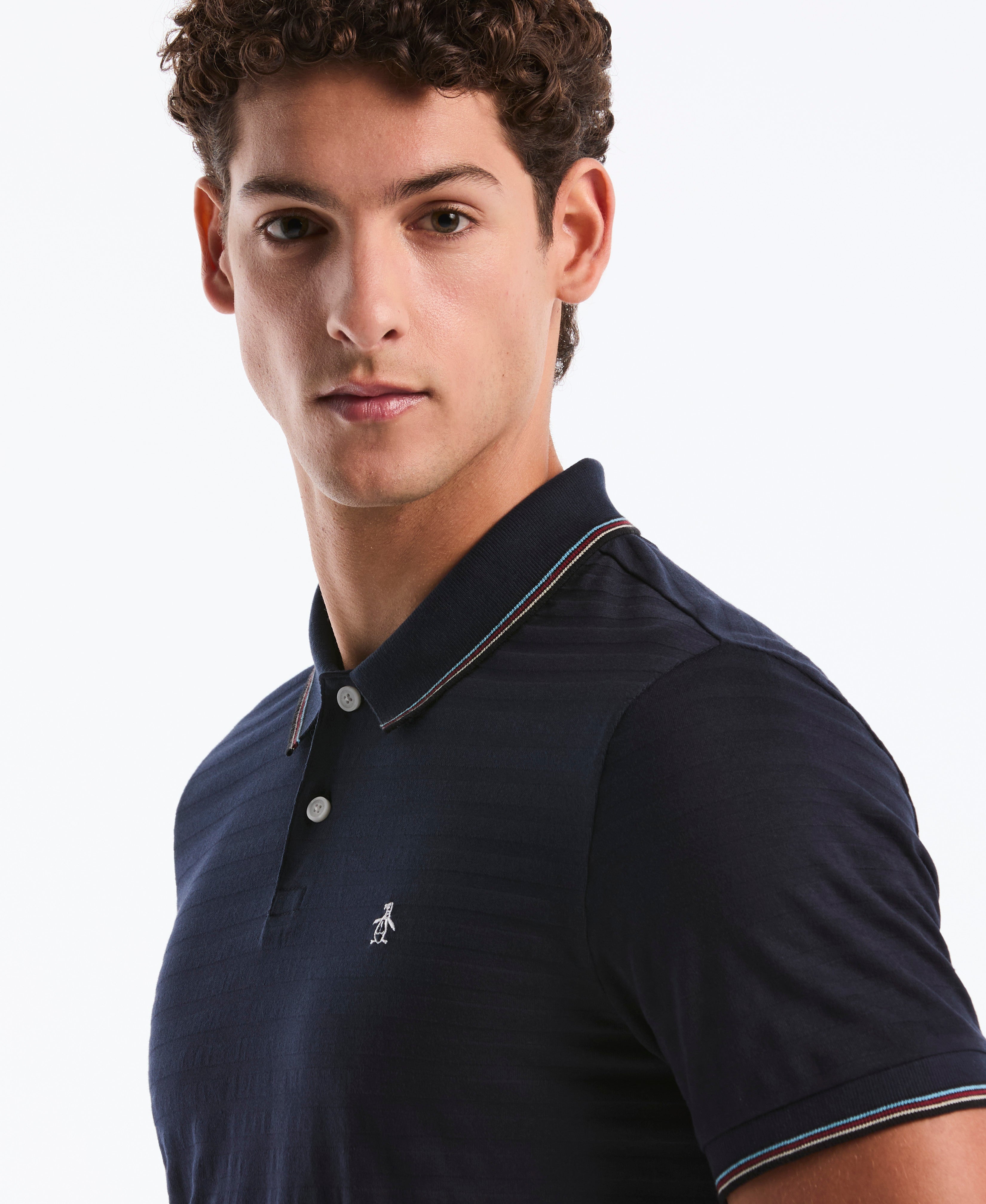 Solid Textured Striped Polo